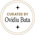 Curated by Ovidiu Buta