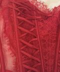 Lace Corset