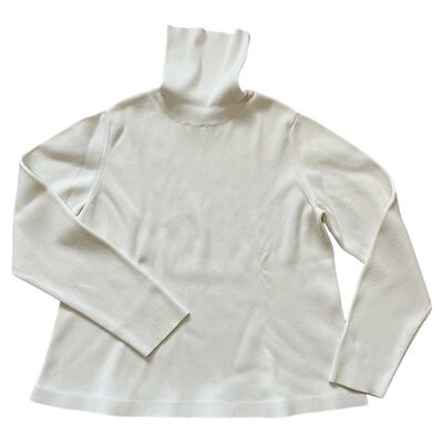 Turtleneck top