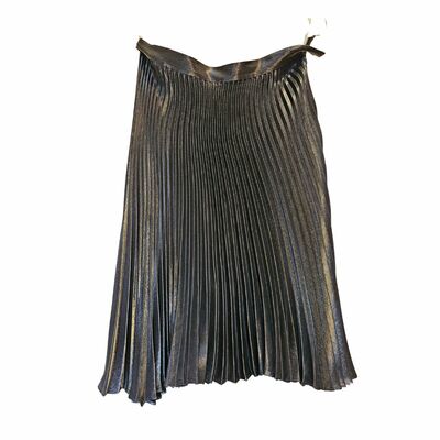 Pleated Skirt