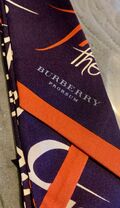 Silk Scarf