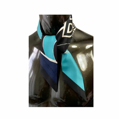 Silk Silk Scarves