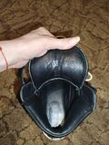 Leather Sneakers