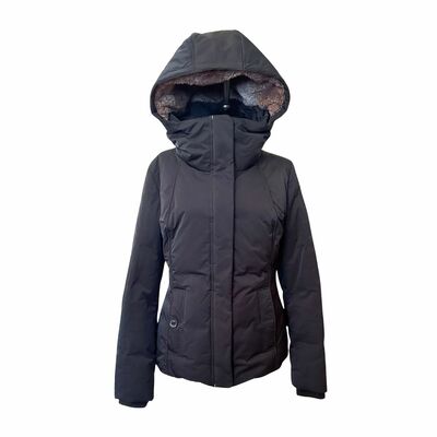 Hooded Puffer