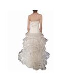 Tulle Ball gown dress