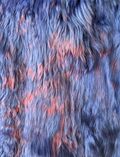 Fur Coat