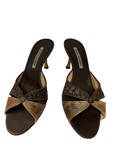 Brown slides