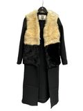 Long winter coat