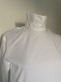 Dress shirt