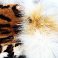 Fur Leg Accessories
