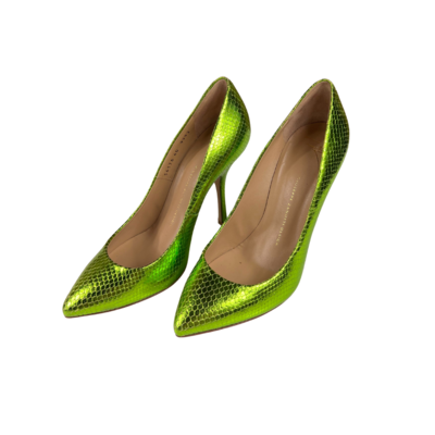 Synthetic Pumps