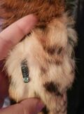 Fur Coat