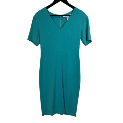 Synthetic Dress