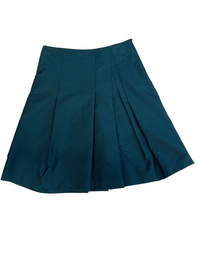 Turquoise skirt