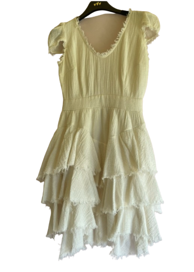 jennifer lopez dana budeanu dress