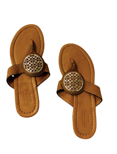 Leather flip-flops