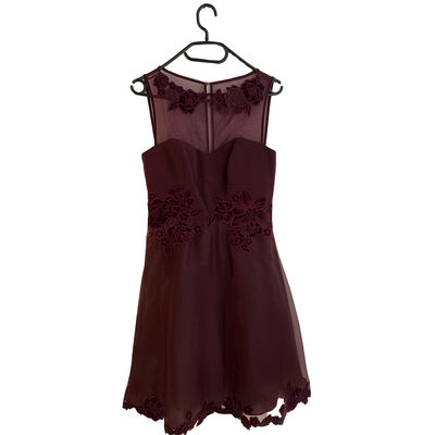 Tulle Ball gown dress
