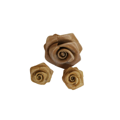 Clips Earrings