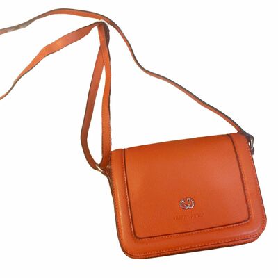Leather Cross-body handbag