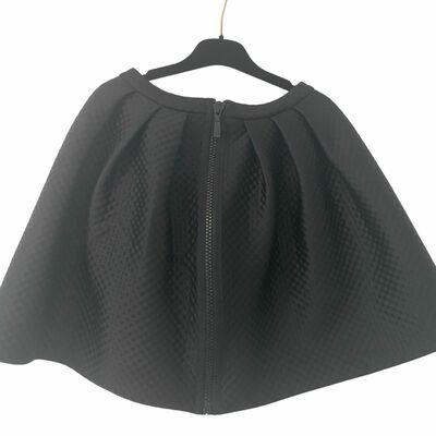 Mini Skirt