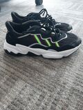 Low top Sneakers