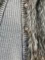 Fur Vest