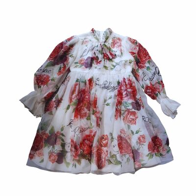 Silk Dress