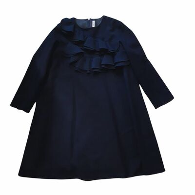 Long sleeves dress