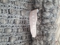 Wool Cardigan