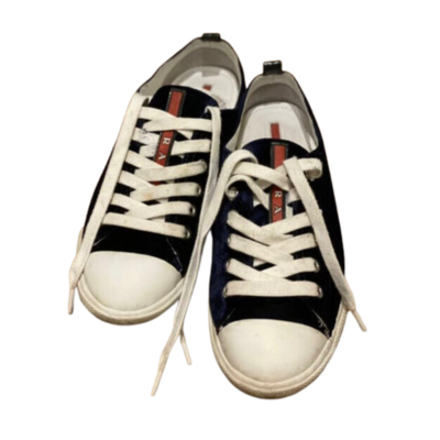 Velvet Shoes