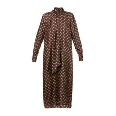 Silk Long dress