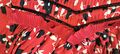 Red Floral Mini dress