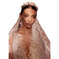 Tulle Veil