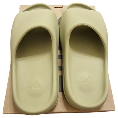 Resin Slides
